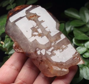 266,2 g Nuevas muestras minerales esqueléticas naturales de amatista - Imagen 1 de 12