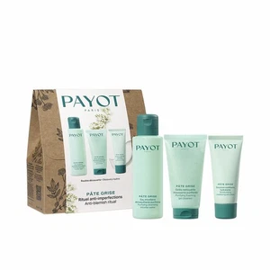Lot Payot PÂTE GRISE 3 Pièces - Afbeelding 1 van 1