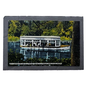 FL Feeding Fish from Vintage Tour Boat Florida's Silver Springs Tampa POSTCARD - Picture 1 of 2