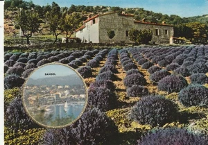 CPSM CARTE PARFUMEE DE LUXE VALLAZUR GRASSE - Picture 1 of 2