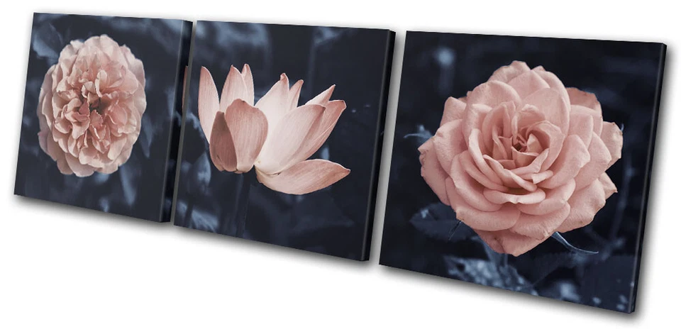 ARTE DE PARED DE LIENZO AGUDOS FLORAL NATURALEZA JARDÍN FLOR MELOCOTÓN AZUL MARINO impresión de imágenes Foto 1 de 1