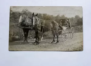 Cavalli, carrozza e coppia di anziani vintage - Foto 1 di 2