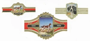 POINTER SAMMLUNG VINTAGE NIEDERLÄNDISCHER HUNDEZIGARRENBÄNDER - Bild 1 von 1