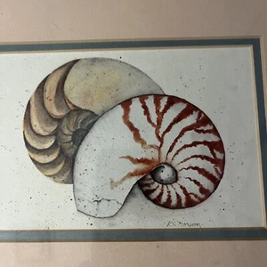 D.Morgen seashells/nautilus shells,print? of watercolor,soft pastel shades,9x11 - Picture 1 of 4