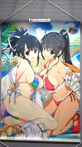 [Tapestry Wall scroll] Asuka Homura Senran Kagura B2 size Limited from Japan - Picture 1 of 4