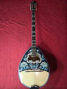 Greek Bouzouki & Softcase & Pickup & Tuner 300 backing Track With Pdf Scores - Picture 1 of 9