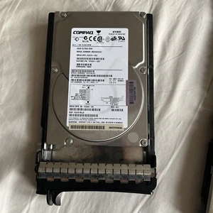 Compaq 36,4 GB BD03664553 Wide ULTRA3 SCSI 10K U/min Festplatte 232574-002 - Bild 1 von 1