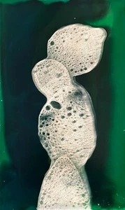 Jose Tonito Original painting.GREEN Back.Organic surrealism.Otherworldly art - Picture 1 of 2