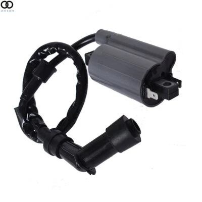 Bobina de encendido para Yamaha Raptor 700 700R YFM700 YFM700R 2006-19 Foto 1 de 4