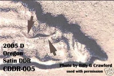 2005 D Oregon State Quarter Double Die 5 CDDR-005 Error - Image 1 of 1