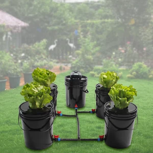 5 Bucket 5 Gallon Hydroponic Grow System Deep Water Culture Growing Tool Sets - Picture 1 of 15