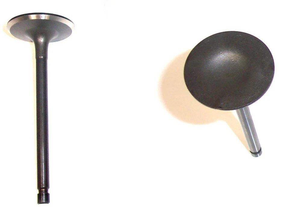 Válvula de admisión del motor-SOHC, código de motor: Z24I, 8 válvulas DNJ IV602 Foto 1 de 1