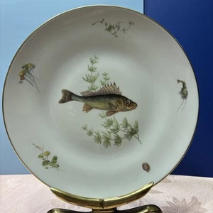 RICHARD GINORI QUENELLE SMOOTH FISH DINNER PLATE #2 - Picture 1 of 9