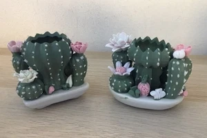 Cactus Porcellana Set 2 Pezzi Dipinto A Mano - Foto 1 di 3