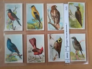 Church & Dwight-Useful Birds Fifth Series(1924)- Full set 'For pure..' variation - Picture 1 of 4