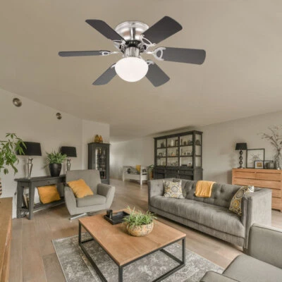 Ventilatore da Soffitto Plafoniera Illuminazione Pale Faggio Grafite Passare - Immagine 1 di 4