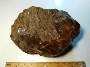 Premium Large Piece of Agatized Petrified Wood- Over 16-3/4 lbs. - Picture 1 of 16