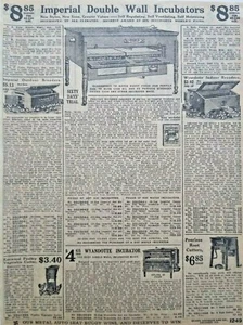 1911 Antigua Incubadora Pollo Agricultura Arte Sears Página de Catálogo Anuncio Impreso Vintage - Imagen 1 de 3