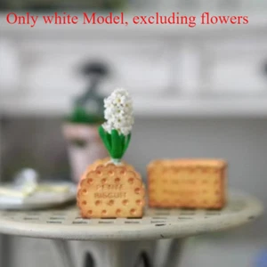 2 Piezas Escala 1:12 Casa de Muñecas Miniatura Modelo Blanco Galleta Maceta Sin Color - Imagen 1 de 4