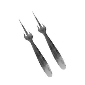 Metaltex Stainless steel Mango Fruit Fork, Set Of 2 - Picture 1 of 1