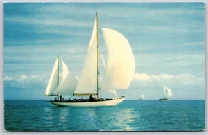 Postcard Smooth Sailing Sailboat Five Sails Scenic Ocean View Hannau UNP Vintage - Picture 1 of 2