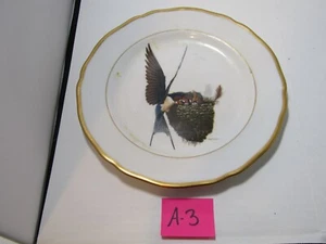 A3 OLD AMERICAN SONGBIRD THE BARN SWALLOW BONE CHINA PLATE RAY HARM - Picture 1 of 2