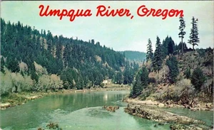 Lower Umpqua River Oregon Postcard K-2432 Unposted - Picture 1 of 2
