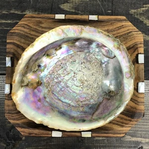 Vtg Footed Oyster 5” shell On 6 1/2” Wood display tray Oyster Pearlescent - Picture 1 of 12