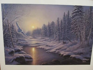 Snowy Owl and Deer Art Print by James Meger Signed and Numbered 1036/1500 - Picture 1 of 2