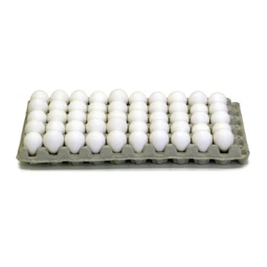 0205 - Quail Egg Trays Cardboard Cartons (Pkg. 15) - Picture 1 of 1
