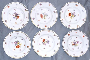 6 Suppenteller tiefe Teller, Perlrand Blumen Gold,Fraureuth,1920, 24 cm - Bild 1 von 7