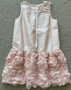 Nuevo con etiquetas Vestido Rosetta Janie and Jack Ocasión Especial Niñas Rosa Seda Flor 5 $189 - Imagen 1 de 10