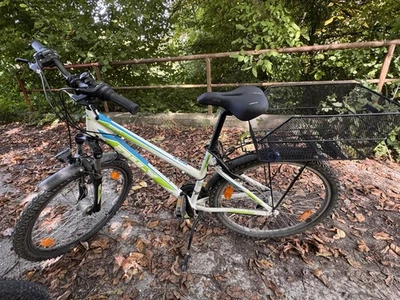 Damen Fahrrad 26 Zoll mit LED Licht - Bild 1 von 4