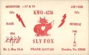 Dundas,VA QSL Ham Radio Sly Fox KWO-6236 Art Lunenburg County Virginia Postcard - Picture 1 of 2