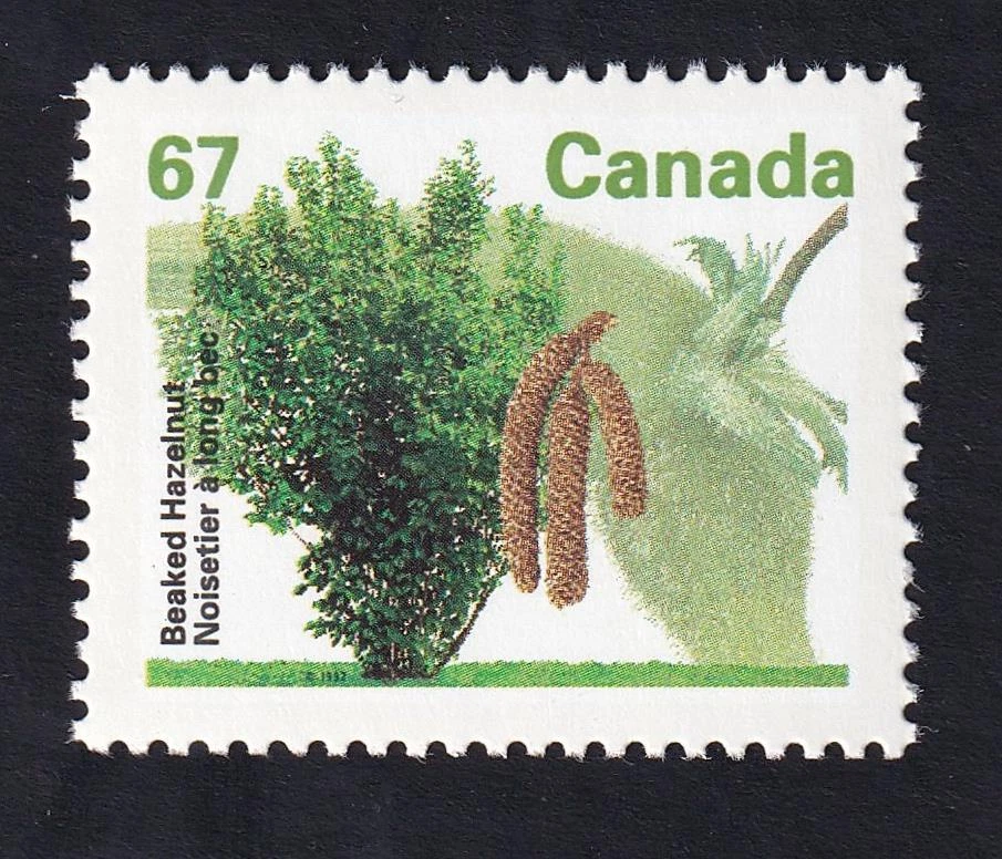 Canada 1992 Beaked Hazelnut 67c Fruit Tree Definitives, MNH sc#1368 - Image 1 of 1