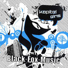 Kapitel 1 Various Vinyl Single 2 X 12inch NEAR MINT BlackFoxMusic