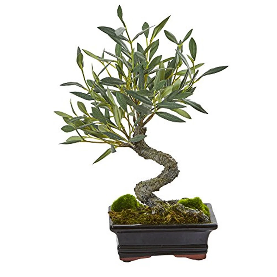 Mini Olive Artificial Bonsai Tree - Image 1 of 1
