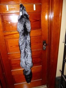 HUGE BEAUTIFUL tanned SILVER FOX fur pelt skin taxidermy S3 man cave log cabin - Picture 1 of 4