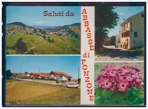 Cartolina Saluti Da Abbasse Di Ponzone VEDUTINE Fiori AF678 - Picture 1 of 1