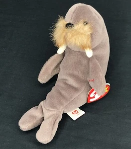 Jolly the Walrus Beanie Baby Born 12/2/96 Retired Neu mit Etikett - Bild 1 von 12