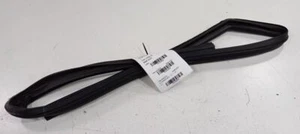 Dodge Journey Door Glass Window Seal Rubber Left Driver Front 2016 2015 2014 13 - Picture 1 of 9