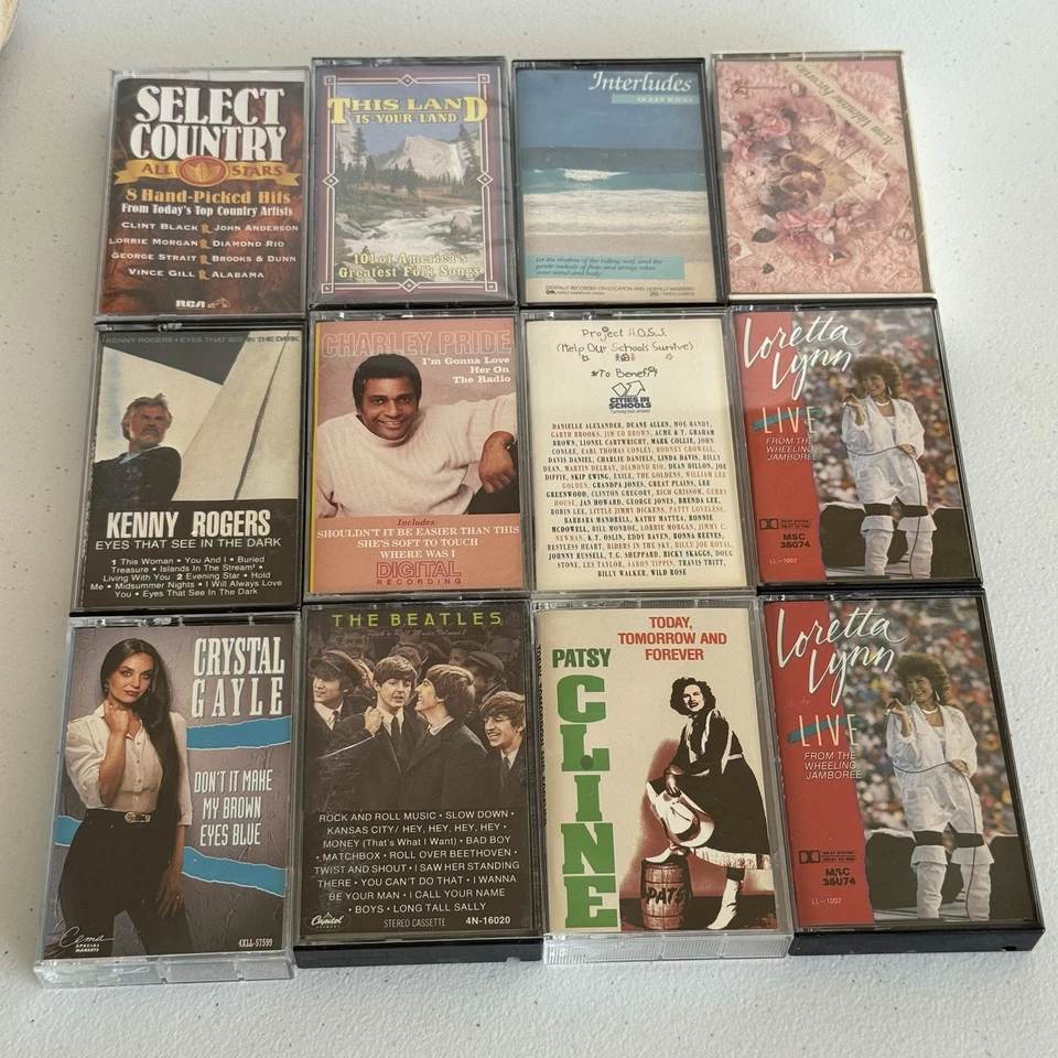 Lot of 12 Vintage Cassette Tape Collection in Carrying Case, country, pop Foto 1 de 4