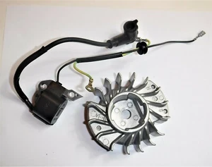 STIHL MS 250 Chainsaw Flywheel and Ignition Coil OEM - Picture 1 of 2