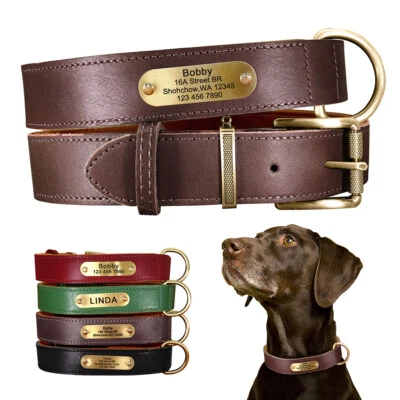 Soft Genuine Leather Dog Collar Custom Nameplate Heavy Duty Free Engraved XS-XL - Image 1 of 4