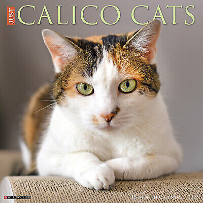 Just Calico Cats 2023 (Dog Breed)  12  X 12  Wall Calendar (Free Shipping) • 12.79$