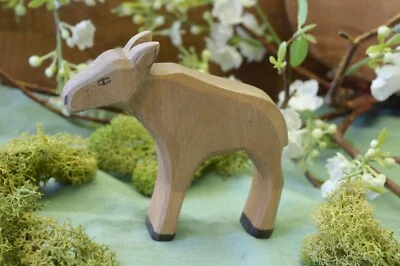 Ostheimer junger Elch, kostbares Elchkälbchen für Sammler - Bild 1 von 4