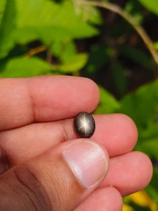 2.49 Cts A FABULOUS NO HEAT BLACK STAR SAPPHIRE OF PERFECT 6 SHARP RAYS STAR ✨ - Picture 1 of 10