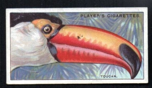 TOUGAN 1929 JOHN PLAYER CIGARETTES CURIOUS BEAKS #49 NICE CORNERS VGEX+ - Picture 1 of 2