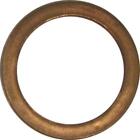 Exhaust Gasket Flat 1 For 1984 Suzuki Lt 125 E