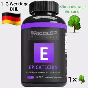 Cápsulas de epicatequina bloqueador de miostatina inhibidor de la miostatina - Imagen 1 de 6